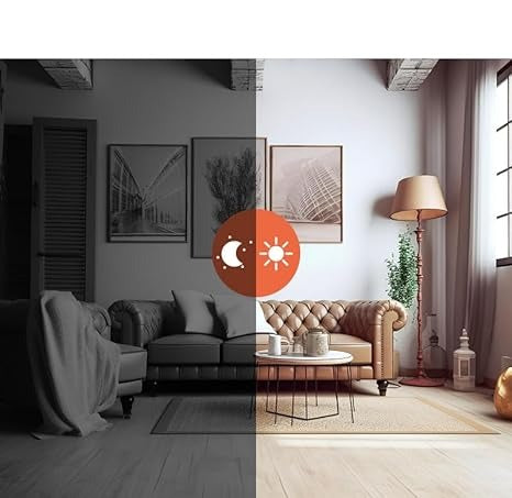 Living room split into a gray night-vision view on the left and a full-color daylight view on the right 4