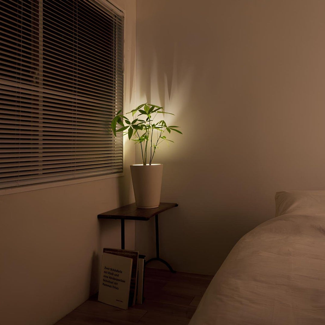 Wireless LED Spotlight - LumaSpot-2-White - AA Batteries-White-Nora Luxe